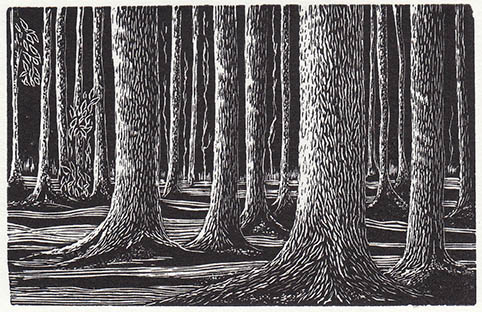 Styles, Viv | The Society of Wood Engravers